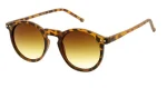 Classic Tortoise Sunglasses - Image 4